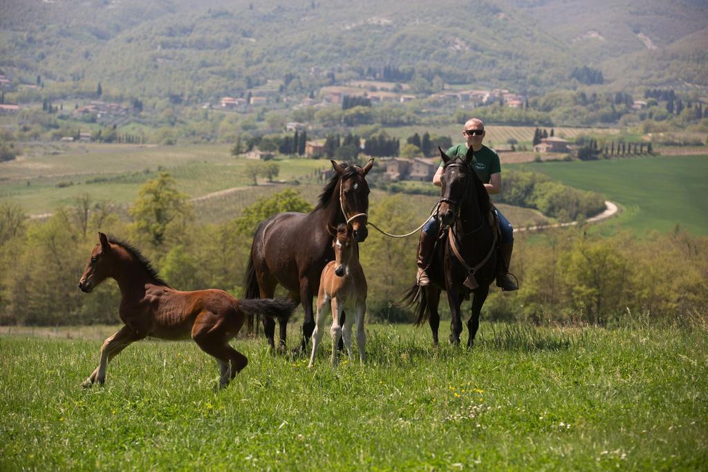 Poggiovalle Tenuta Italiana ชิตตา เดลลา ปีเอเว ภายนอก รูปภาพ